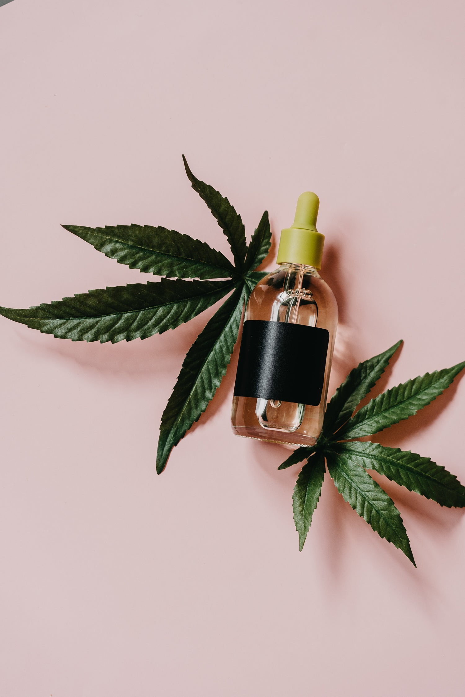 LE CBD POUR SOULAGER LES SYMPTÔMES DE LA MÉNOPAUSE