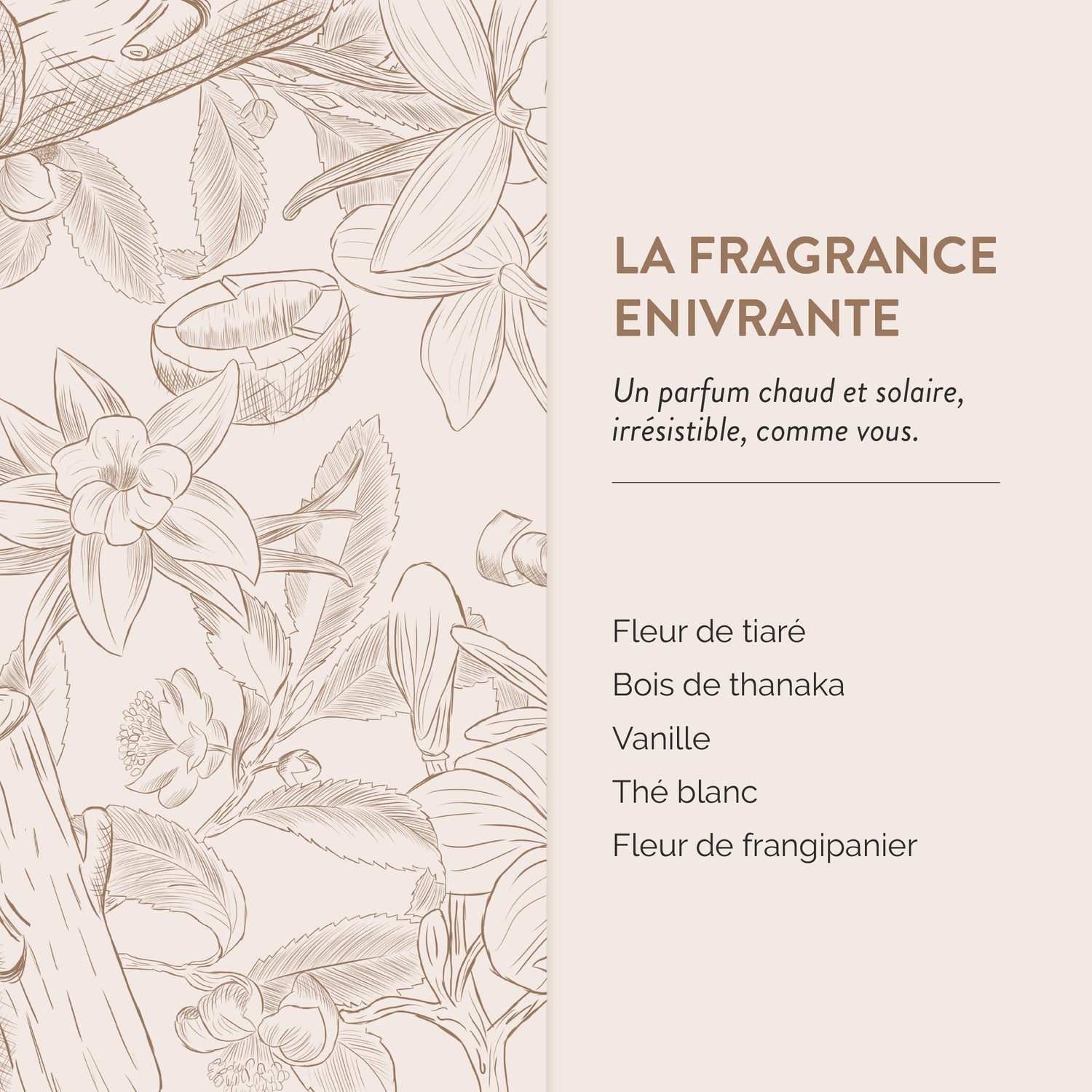 MOUSSE DE MASSAGE CRÉPITANTE au parfum enivrant